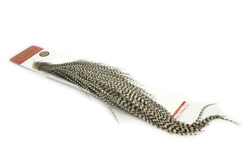 Whiting Farms Rooster Bronze 1/2 Cape - Imagen 19 de 30