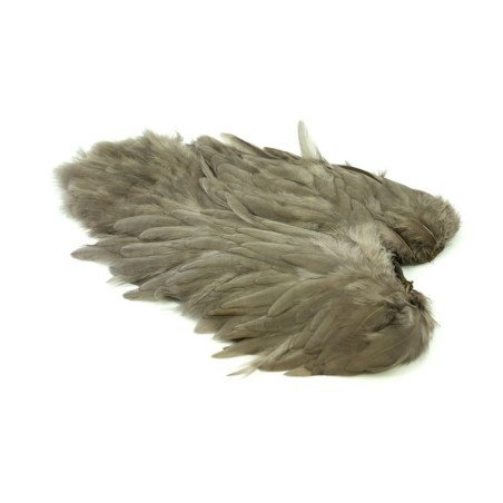 White dyed Heron Gray