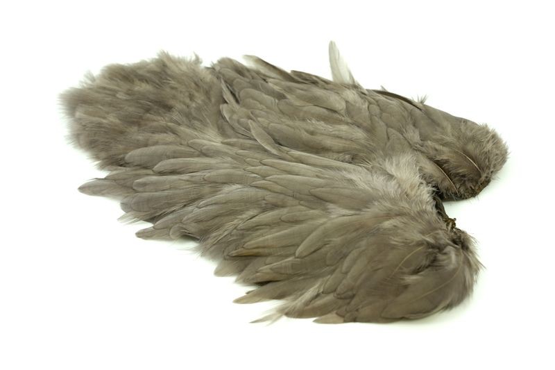 Gallo de Whiting Farms Soft Hackle Chickabou - Imagen 8 de 55