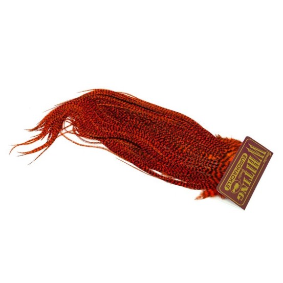 Whiting Farms Eurohackle Saddle