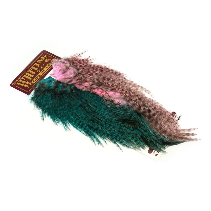 Whiting Farms Coq de Leon Pack Depredador