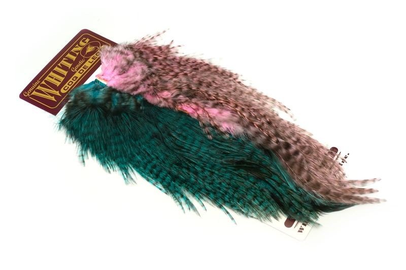 Whiting Farms Coq de Leon Predator Pack - Imagen 5 de 8