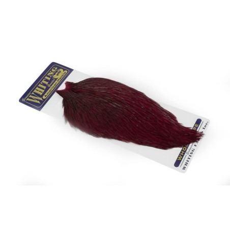 White dyed Claret