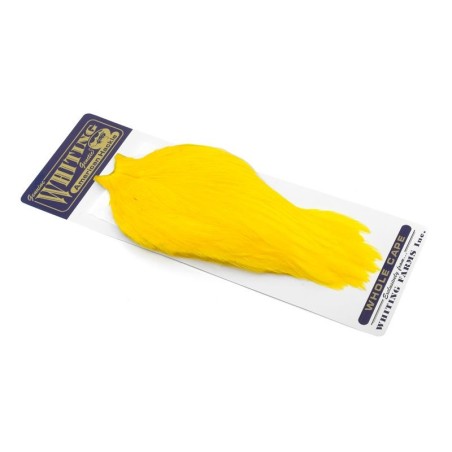 White dyed Yellow