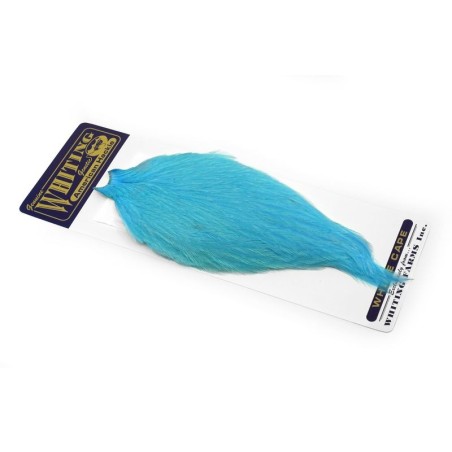 White dyed Silver Dr. Blue