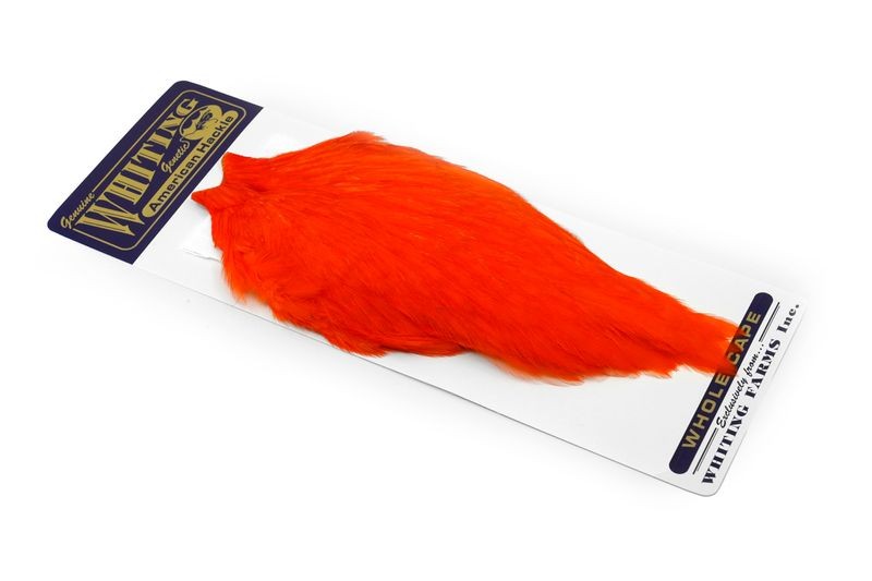 Whiting Farms American Rooster Cape - Picture 28 of 64