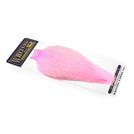 White dyed Shell Pink