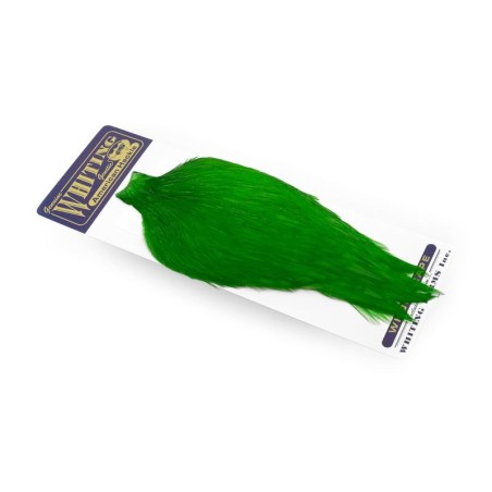 White dyed Highlander Green