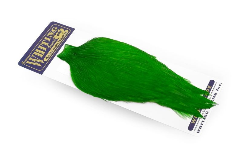 Capa de gallo americano Whiting Farms - Imagen 9 de 43