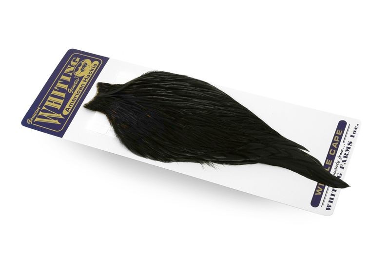 Whiting Farms American Rooster Cape - Picture 31 of 64