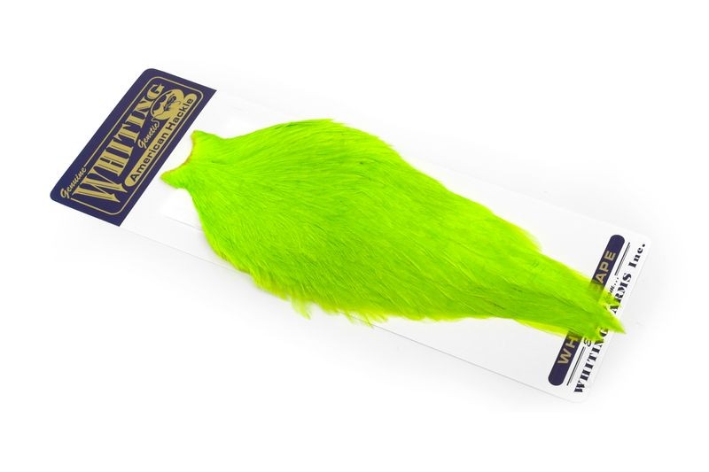 Capa de gallo americano Whiting Farms - Imagen 11 de 43