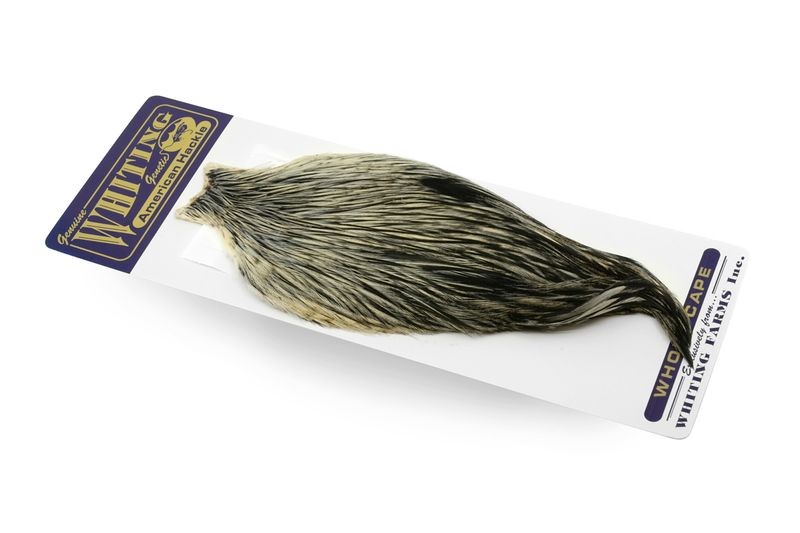 Whiting Farms American Rooster Cape - Picture 33 of 64