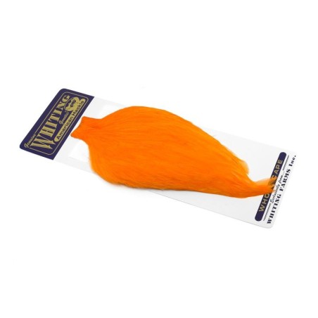 White dyed Shrimp Orange