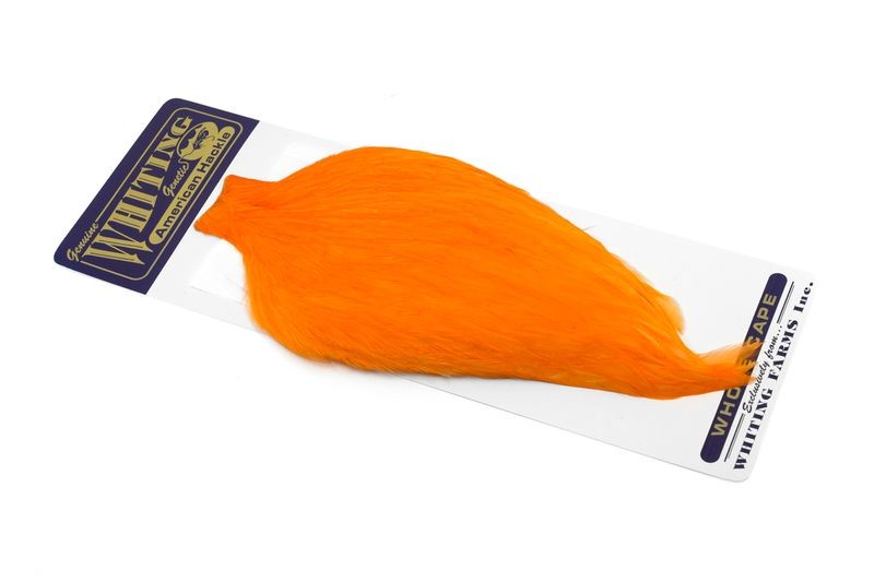 Whiting Farms American Rooster Cape - Picture 34 of 64