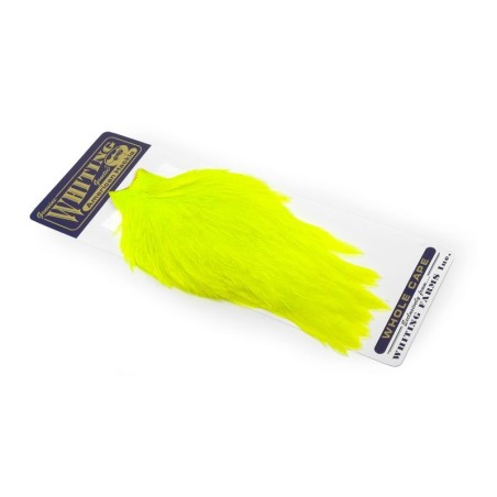 White dyed Fl. Yellow Chartreuse