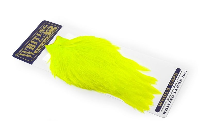 Capa de gallo americano Whiting Farms - Imagen 14 de 43