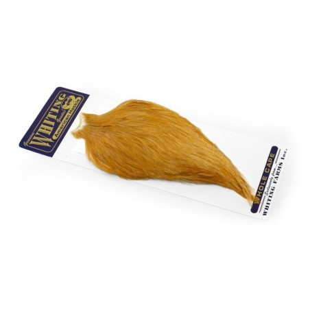 Medium Ginger
