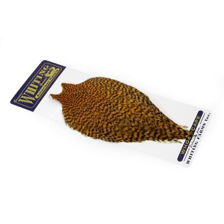 Grizzly dyed Shrimp Orange