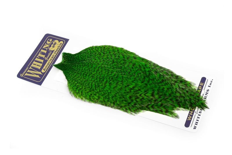 Capa de gallo americano Whiting Farms - Imagen 17 de 43