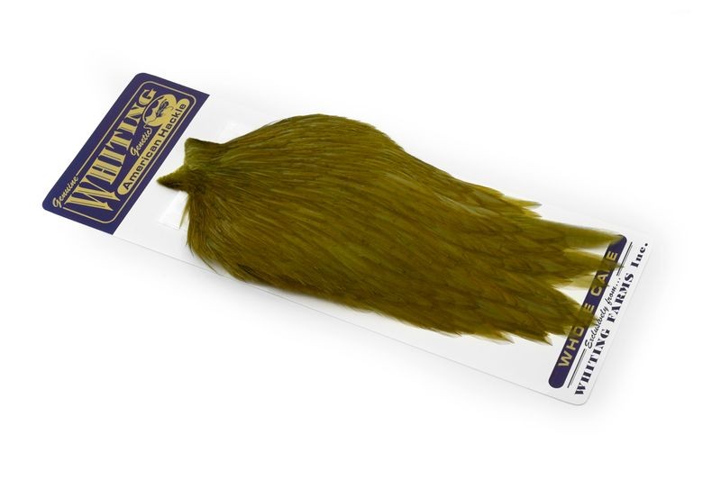 Capa de gallo americano Whiting Farms - Imagen 18 de 43
