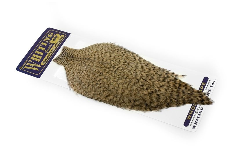 Whiting Farms American Rooster Cape - Picture 40 of 64