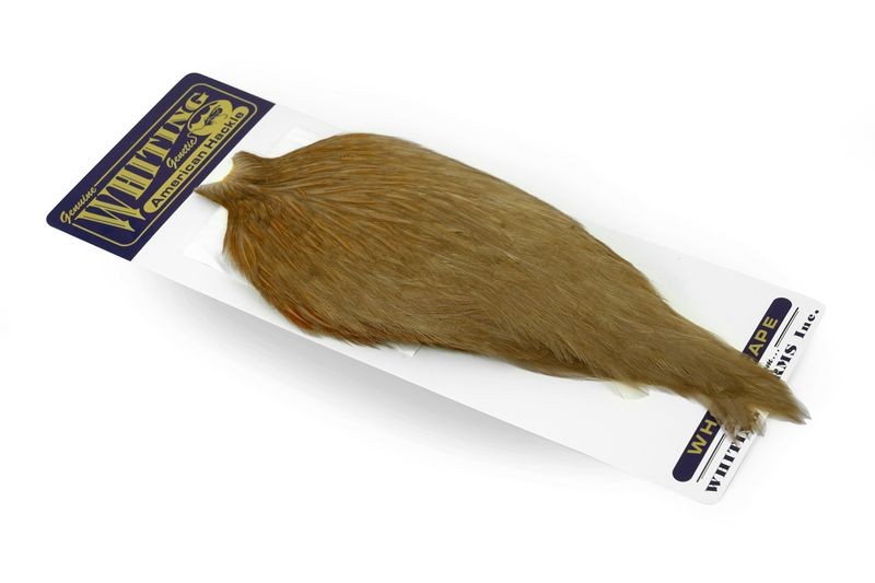 Capa de gallo americano Whiting Farms - Imagen 20 de 43