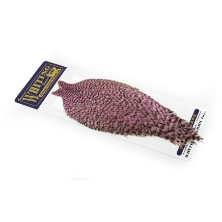 Grizzly dyed Shell Pink