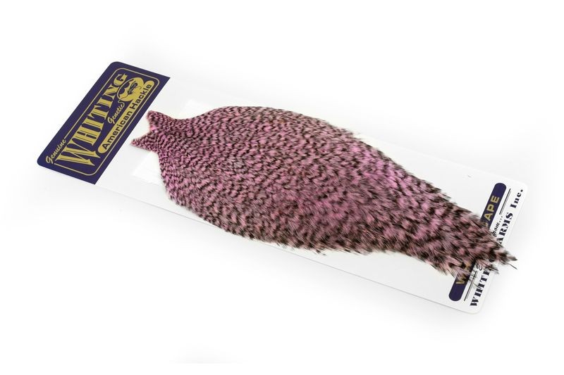 Whiting Farms American Rooster Cape - Picture 45 of 64