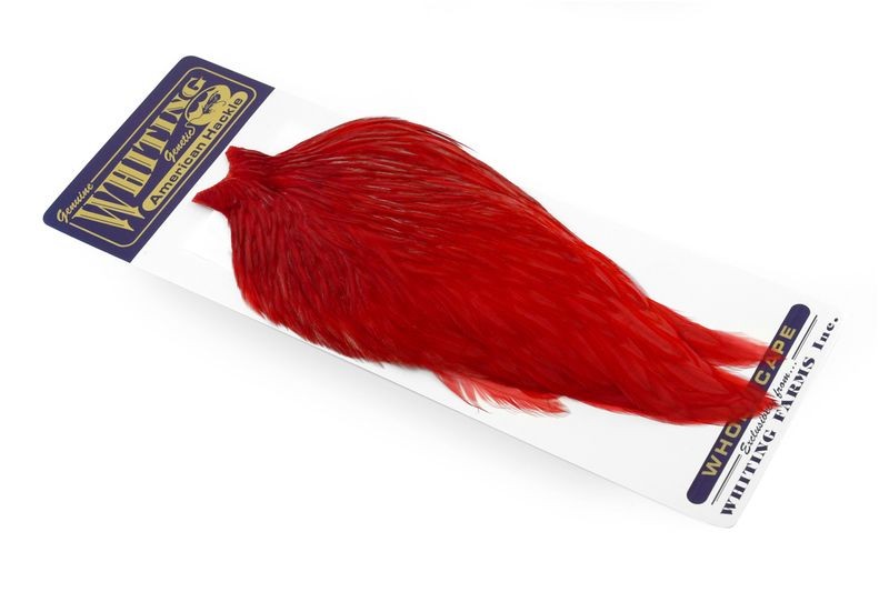 Whiting Farms American Rooster Cape - Picture 46 of 64