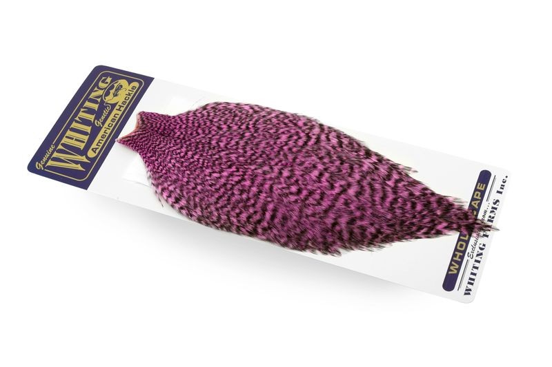 Whiting Farms American Rooster Cape - Picture 47 of 64