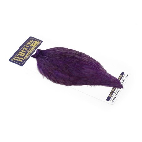 White dyed Purple