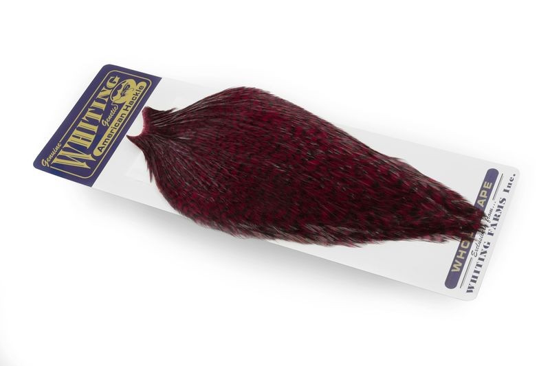 Capa de gallo americano Whiting Farms - Imagen 28 de 43