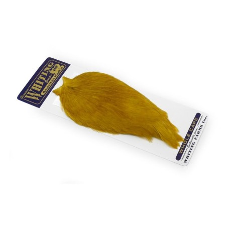 White dyed Golden Olive