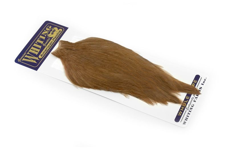 Capa de gallo americano Whiting Farms - Imagen 33 de 43