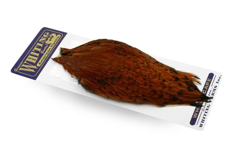 Capa de gallo americano Whiting Farms - Imagen 34 de 43