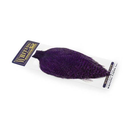 Grizzly dyed Purple