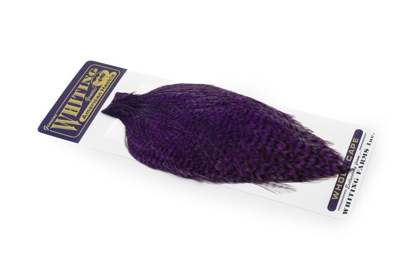 Whiting Farms American Rooster Cape - Picture 56 of 64