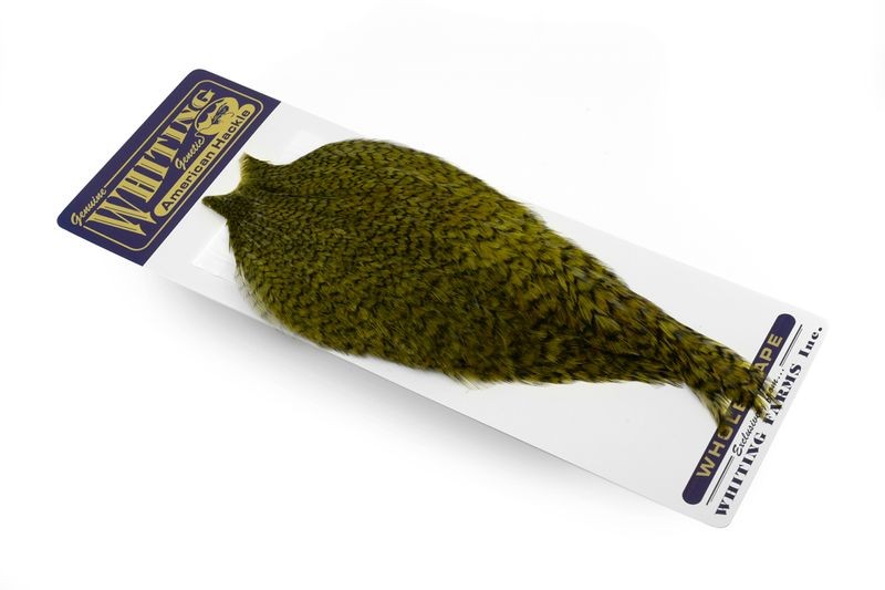 Whiting Farms American Rooster Cape - Picture 57 of 64