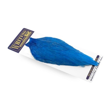 White dyed Kingfisher Blue