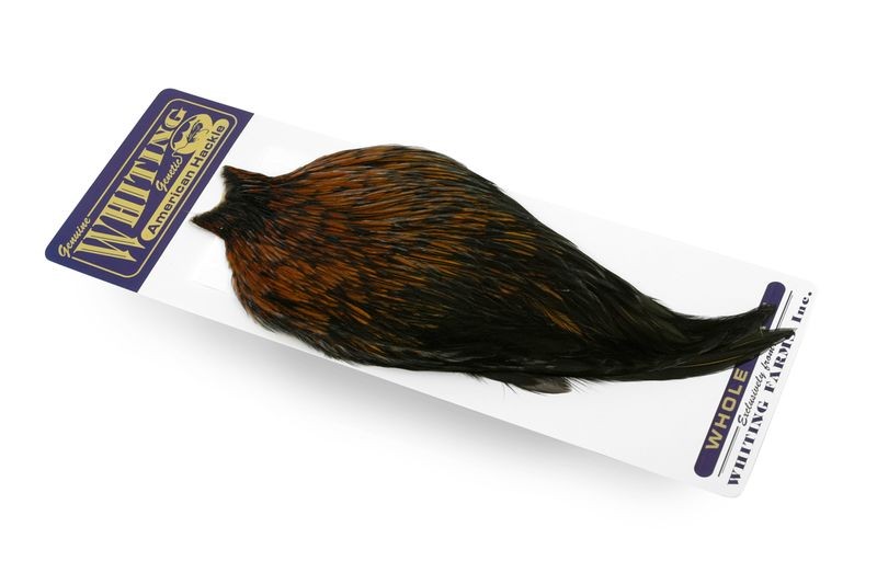 Capa de gallo americano Whiting Farms - Imagen 38 de 43