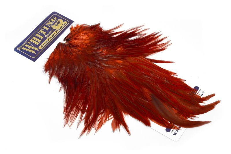 Whiting Farms American Rooster Saddle - Imagen 19 de 36