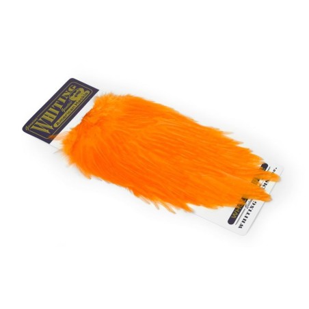 White dyed Shrimp Orange
