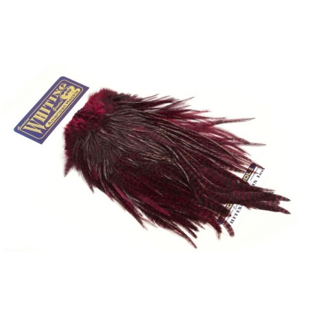 Grizzly dyed Claret