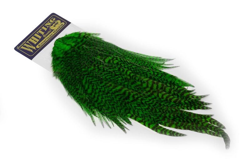 Whiting Farms American Rooster Saddle - Imagen 27 de 36