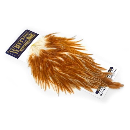 Medium Ginger