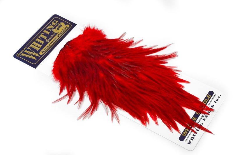 Whiting Farms American Rooster Saddle - Imagen 30 de 36