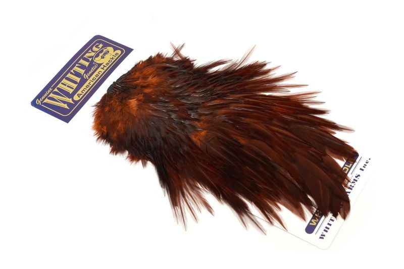 Whiting Farms American Rooster Saddle - Imagen 31 de 36