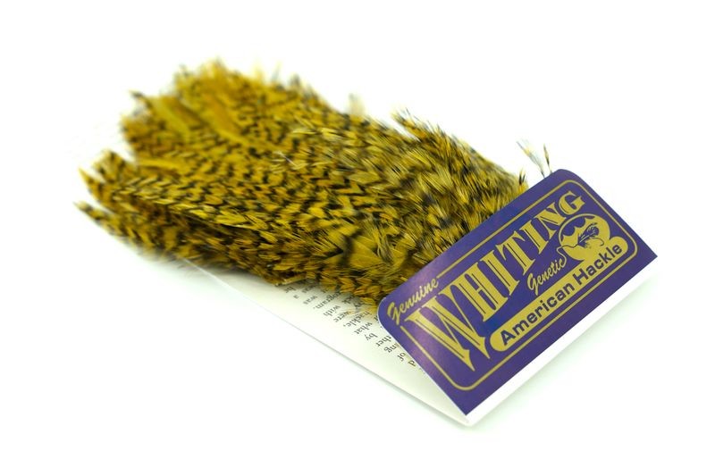 Whiting Farms American Streamer Pack - Imagen 10 de 19