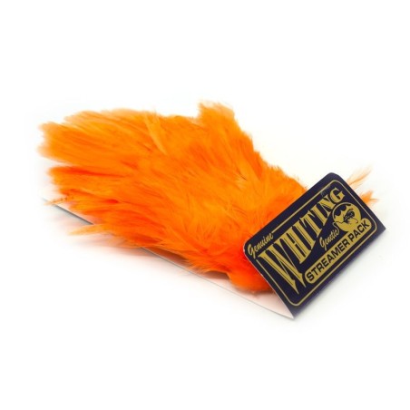 White dyed Shrimp Orange