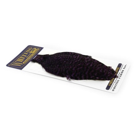 Grizzly dyed Purple